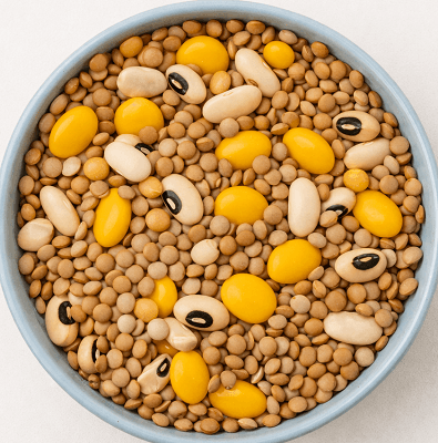 A bowl of mixed legumes including lentils, beans, and lupini beans, representing the healthiest plant-based foods for balanced nutrition.